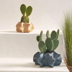 THUN Coprivaso in ceramica Mare da amare beige, piccolo* Vasi E Coprivasi