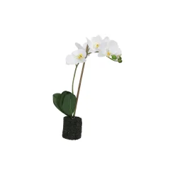 THUN Orchidee bianche S* Altri Oggetti Decorativi|Vasi E Coprivasi