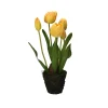 THUN Tulipano giallo M* Altri Oggetti Decorativi|Vasi E Coprivasi